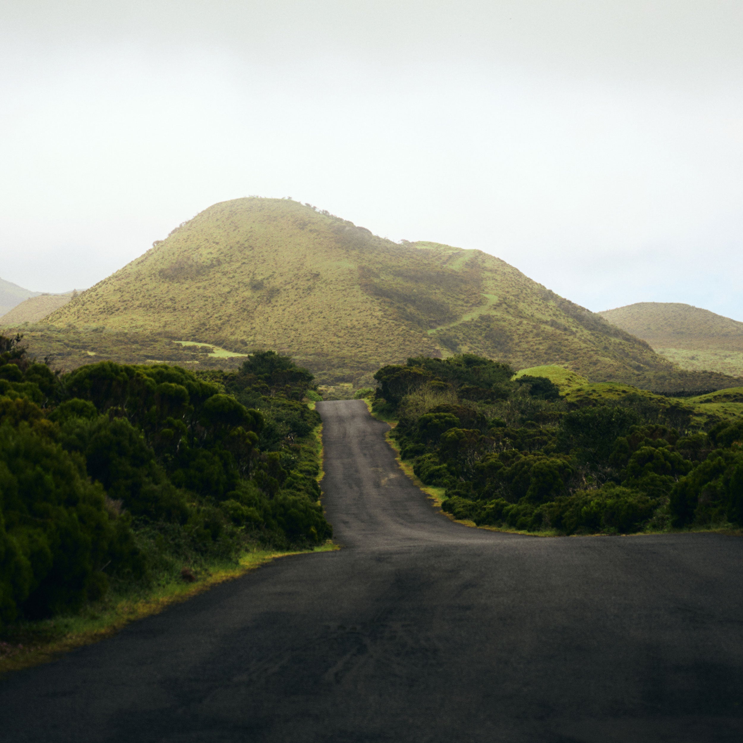 Following the Atlantic to the Azores