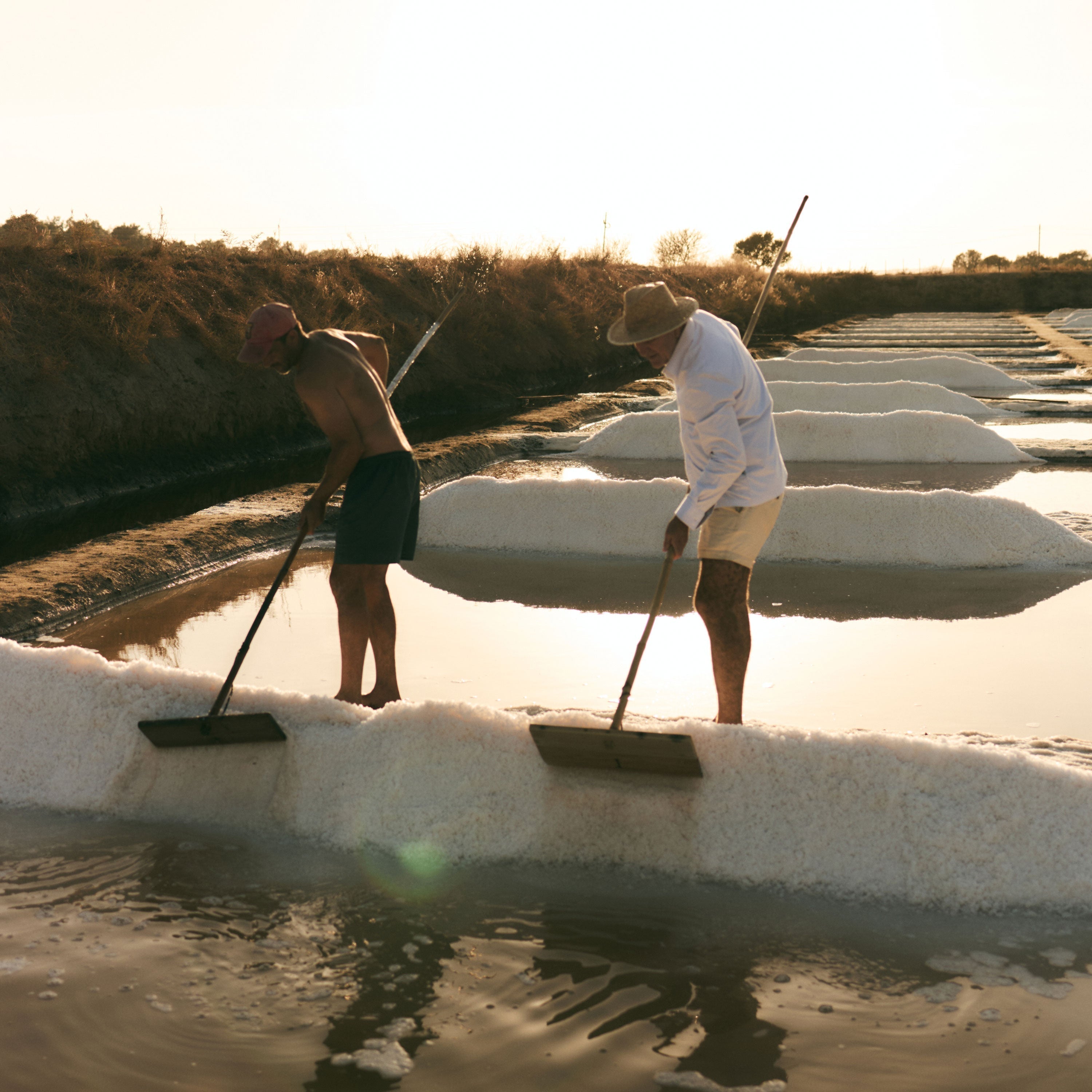 Fleur de Sel, Spring 2026