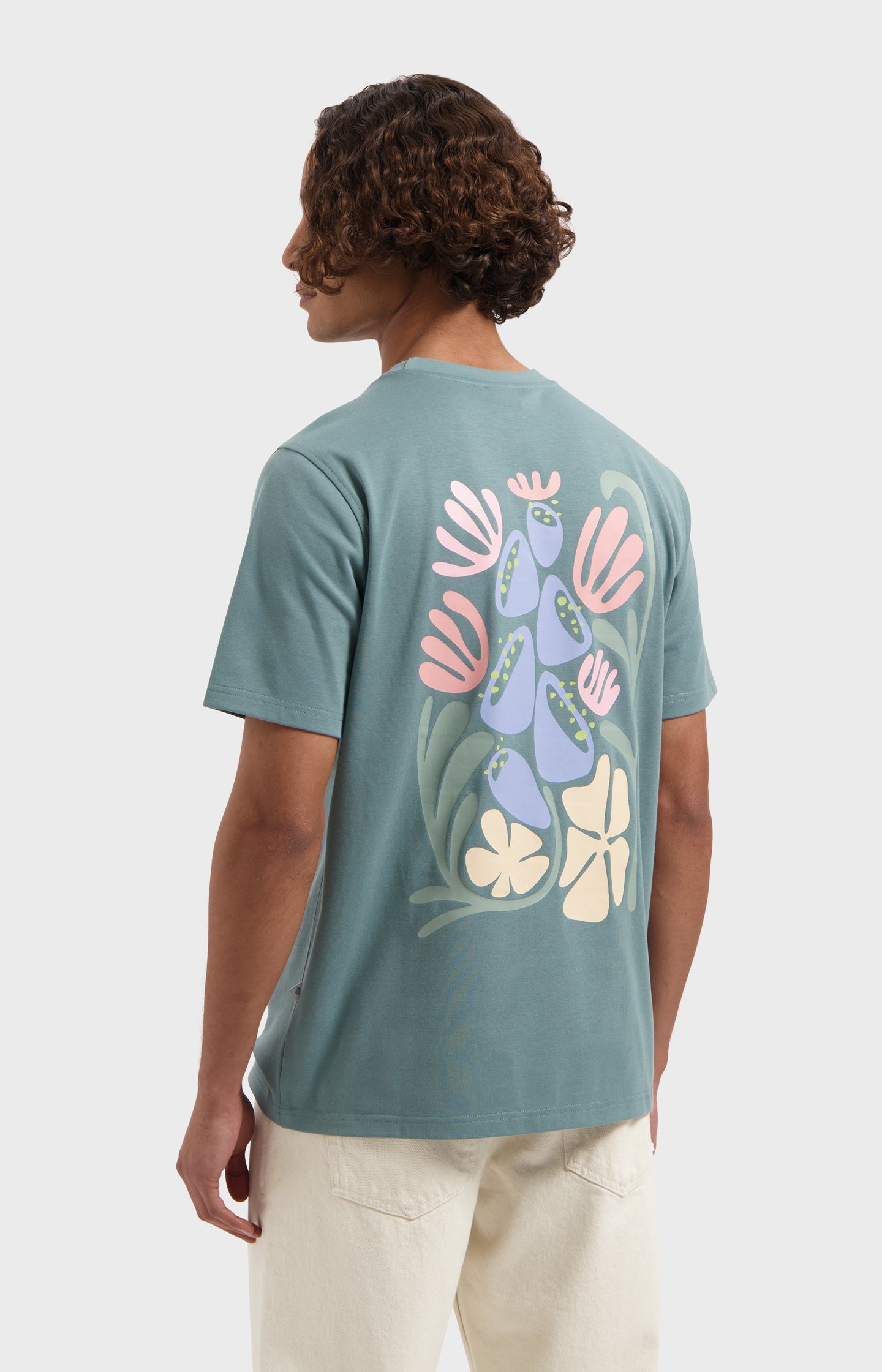 #color_North Atlantic