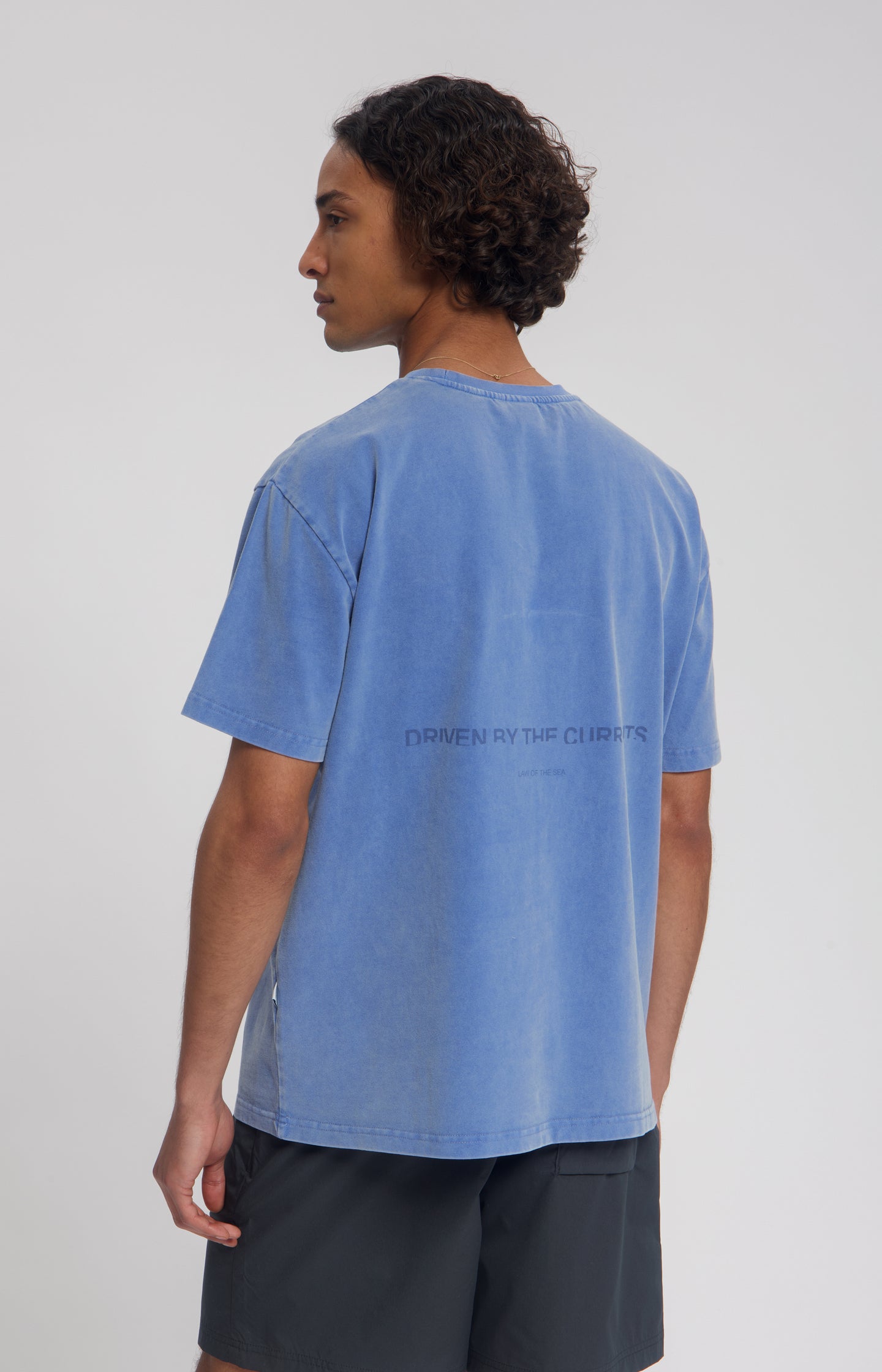 #color_Dutch Blue