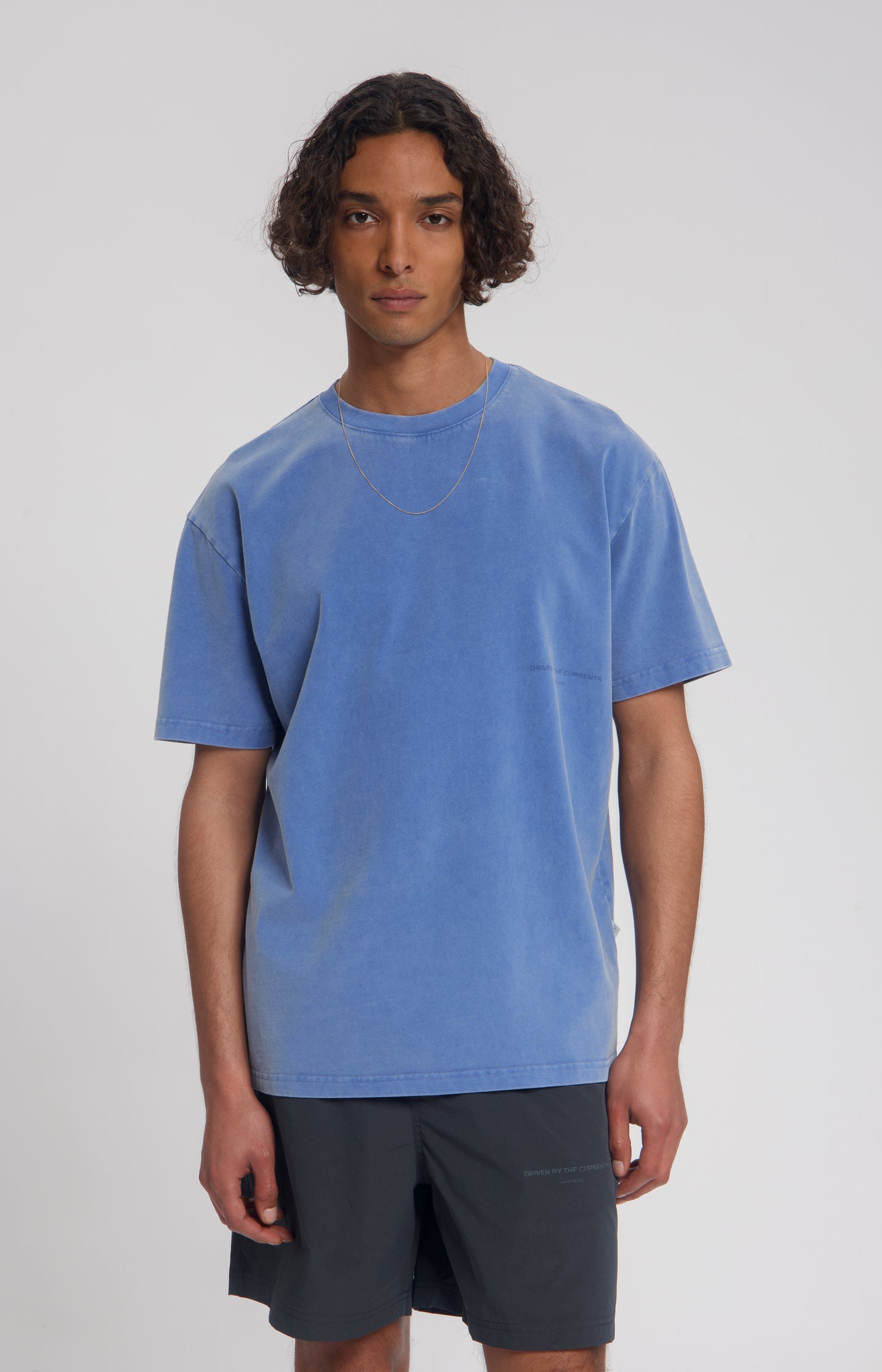#color_Dutch Blue