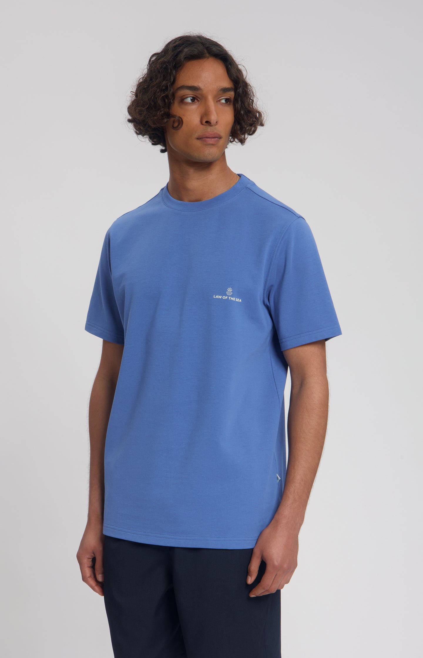 #color_Dutch Blue