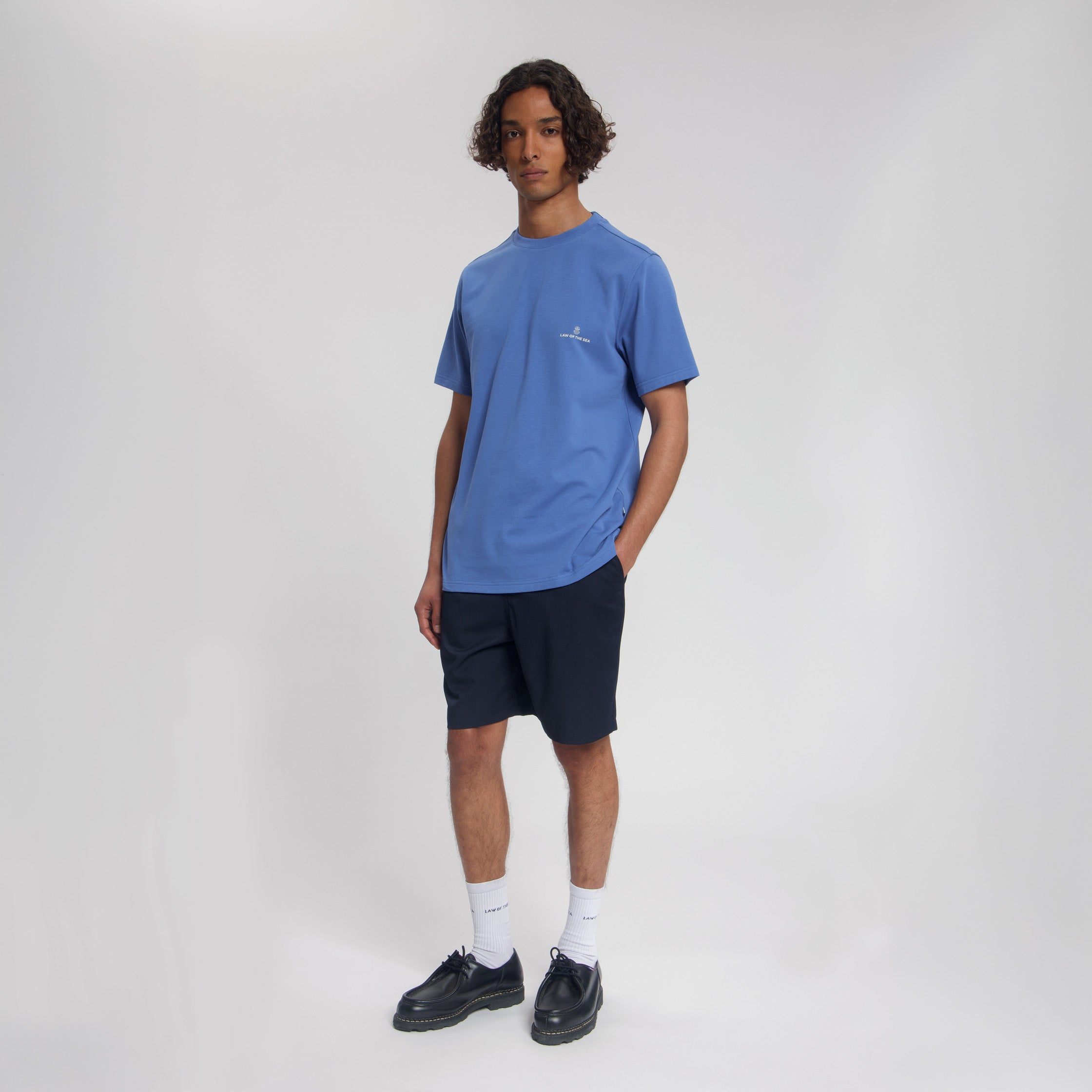 #color_Dutch Blue