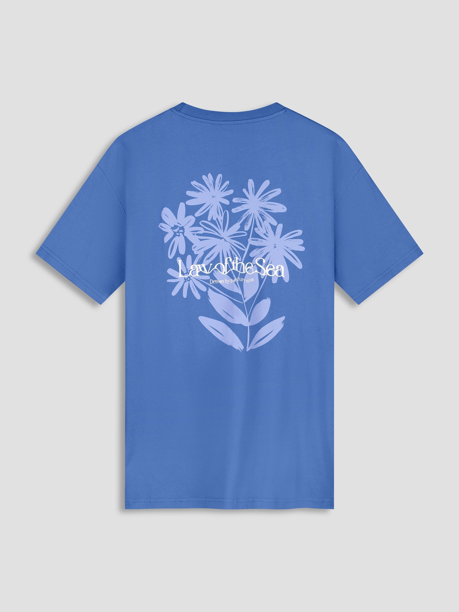 #color_Dutch Blue