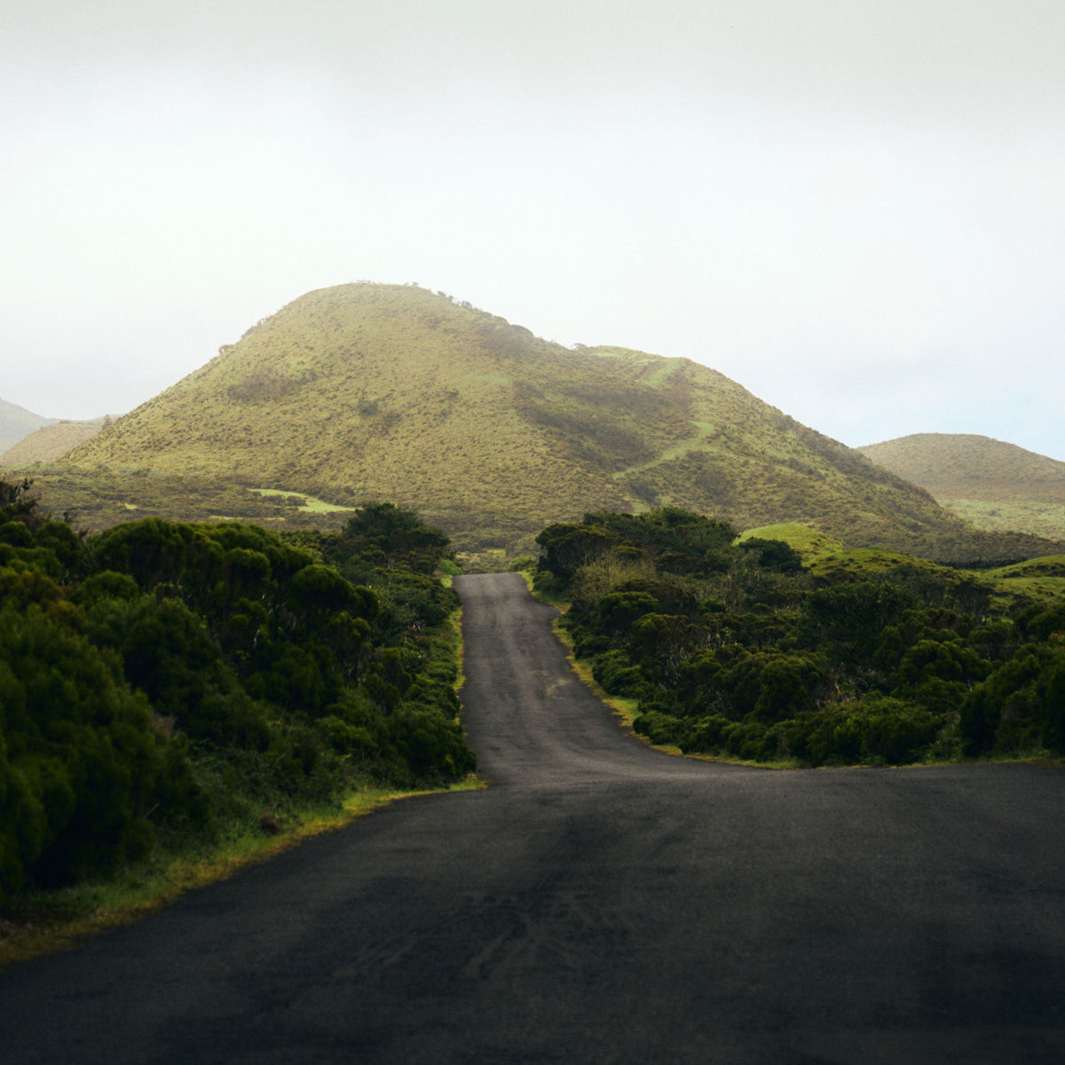 Following the Atlantic to the Azores