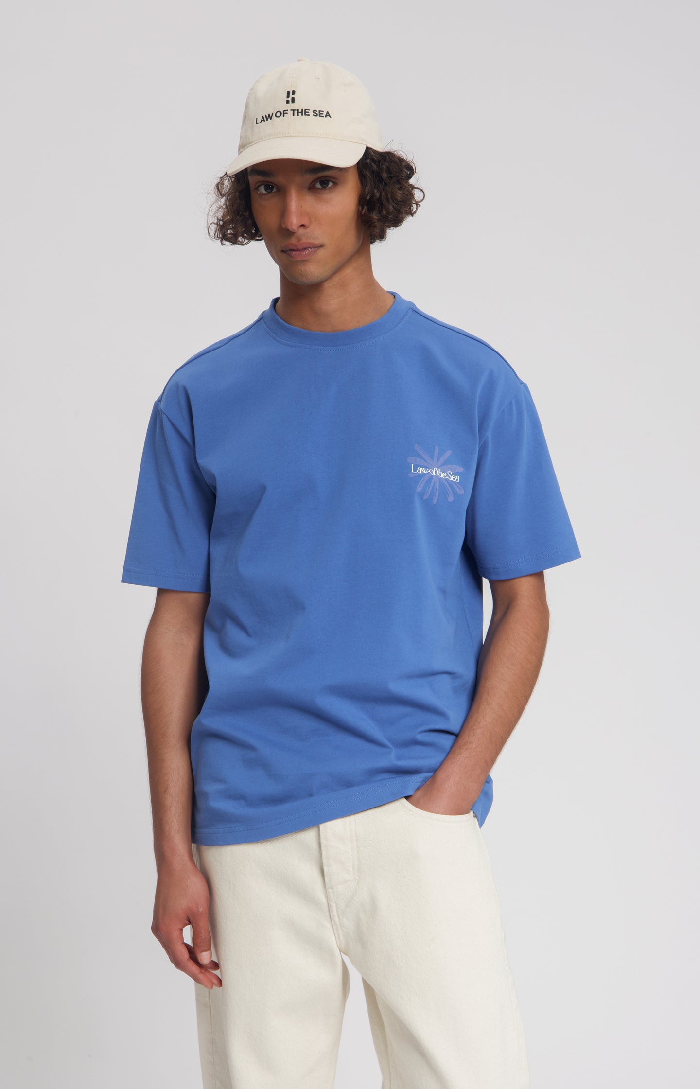 #color_Dutch Blue