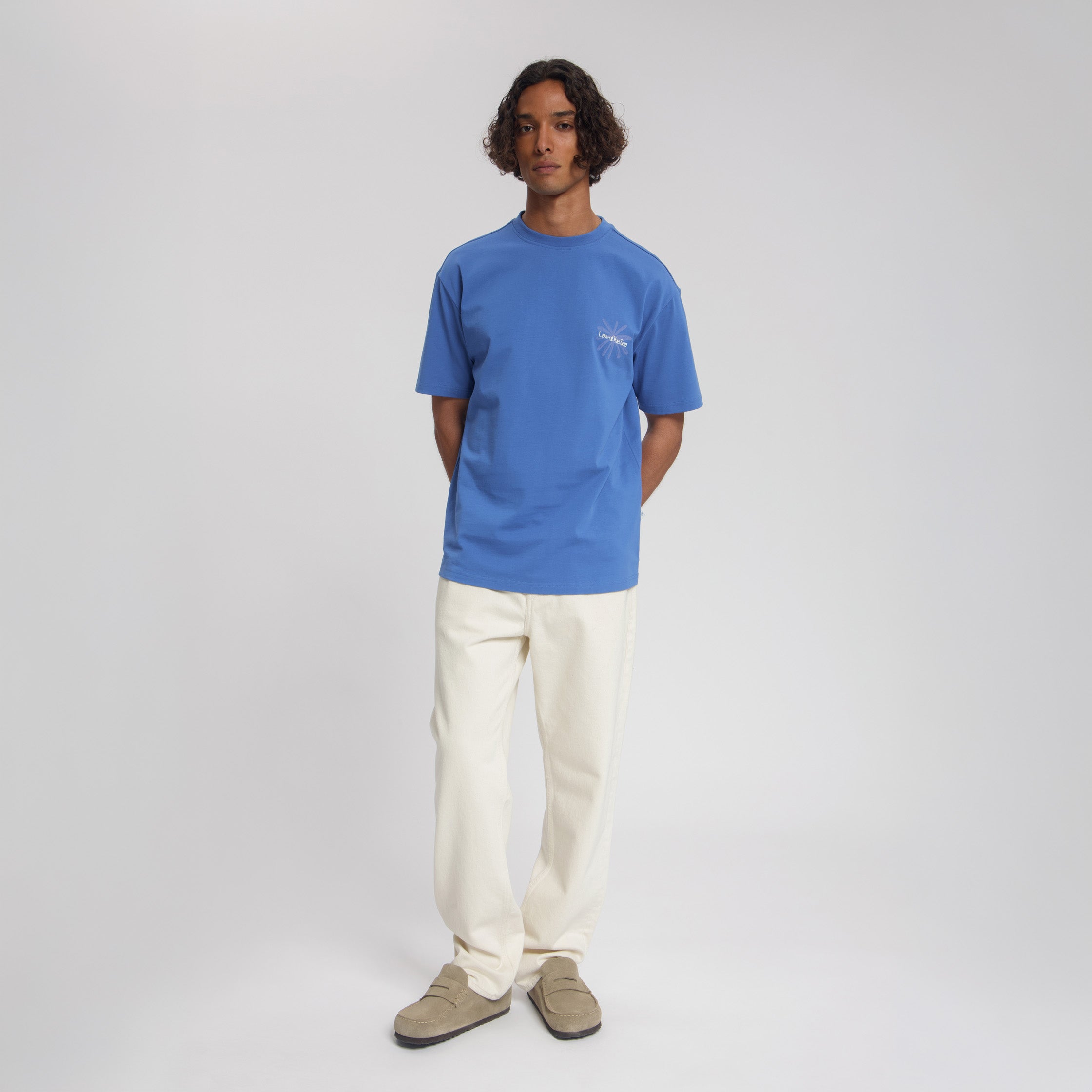 #color_Dutch Blue